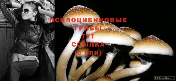 мескалин Переславль-Залесский