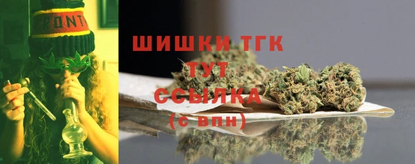 прущий лед Пересвет
