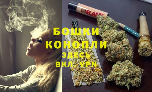 прущий лед Пересвет