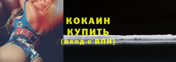 прущий лед Пересвет