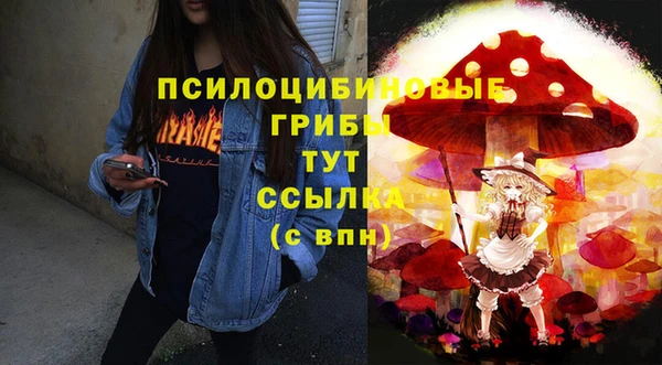 прущий лед Пересвет