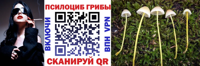 Галлюциногенные грибы мухоморы Шелехов