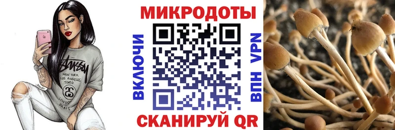 маркетплейс официальный сайт  как найти   Шелехов  Псилоцибиновые грибы прущие грибы 